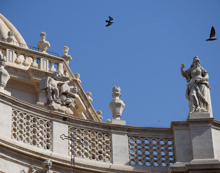 Rondini sorvolano il cielo