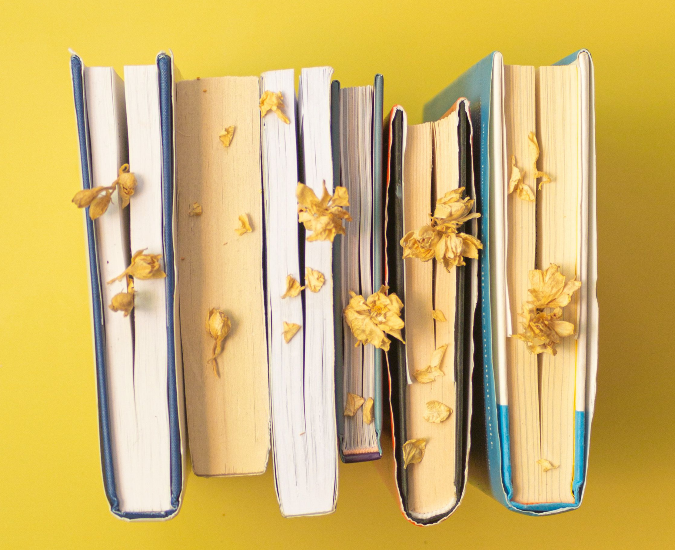Pubblicazione Graduatoria
